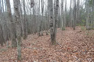 1061 Round Rock Rd, Lenoir, NC 28645 - Photo 1