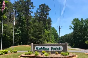 276 Basswood Rd, Troy, NC 27371 - Photo 1