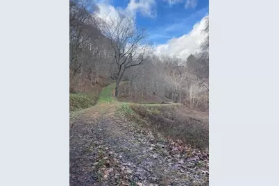 0 Hardwood Cove #100, Waynesville, NC 28785 - Photo 1