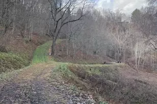 0 Hardwood Cove, Waynesville, NC 28785 - Photo 1