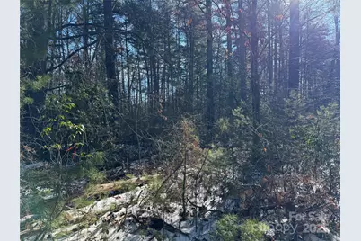 197 Union Hill Church Road, Hendersonville, NC 28792 - Photo 1