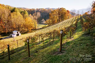 209 Newdale Church Road, Burnsville, NC 28714 - Photo 1