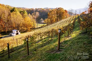 209 Newdale Church Rd, Burnsville, NC 28714 - Photo 1