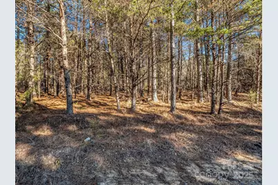 0 Petite Court, Rutherfordton, NC 28139 - Photo 1