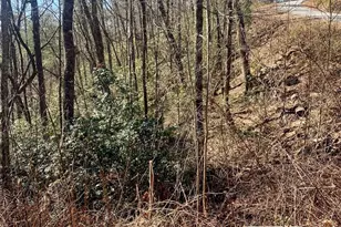 Lots 62&63 Oak Laurel Rd, Brevard, NC 28712 - Photo 1