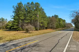0000 Orrs Station Rd, Chester, SC 29706 - Photo 1