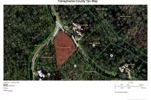 M92 Pine Mountain Trail, Brevard, NC 28712 - Photo 1