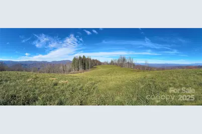 1201 & 1540 Baker Branch Lane, Marshall, NC 28753 - Photo 1