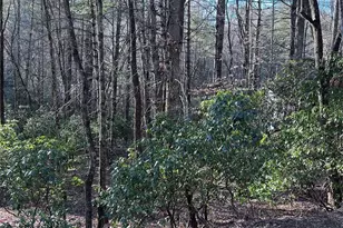 L72 Salola Ln, Brevard, NC 28712 - Photo 1