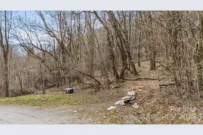 Tbd Live Oak Loop #93/95, Waynesville, NC 28785 - Photo 1