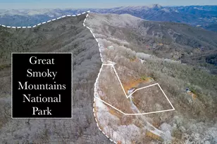 99999 Wohali Pass, Waynesville, NC 28785 - Photo 1