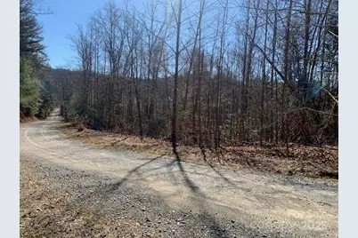 7.6 Ac Mol Tract Off Plea Pleasant Grove Road #7.6 AC. MOL, Hendersonville, NC 28739 - Photo 1