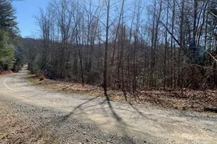 7 6 Ac Mol Tract Off Plea Pleasant Grove Rd, Hendersonville, NC 28739 - Photo 1