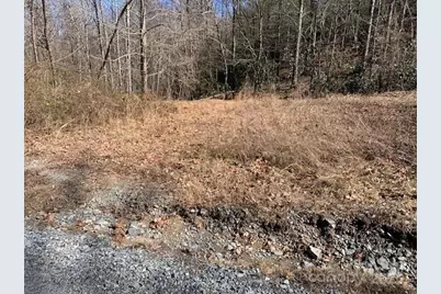 10.01 Ac Pleasant Grove Road #TRACT 3, Hendersonville, NC 28739 - Photo 1