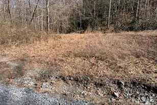 10 01 Ac Pleasant Grove Rd, Hendersonville, NC 28739 - Photo 1