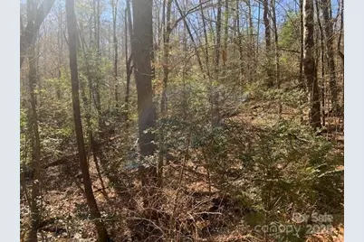 Tract 4 Justus View Road #TRACT 4, Hendersonville, NC 28739 - Photo 1