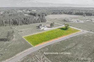 00 Shoal Rd, Lincolnton, NC 28092 - Photo 1