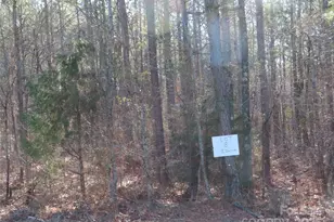 Lot 8 Winter Rd, Rock Hill, SC 29730 - Photo 1
