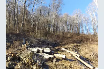 00 Kims Cove Road, Canton, NC 28716 - Photo 1