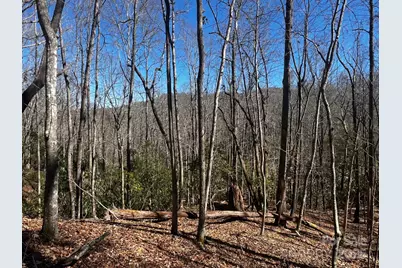 Lot 68 Cherrywood Lane, Pisgah Forest, NC 28768 - Photo 1