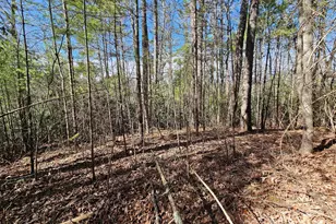 00 Chenoa Ridge, Waynesville, NC 28785 - Photo 1