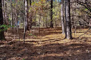 0 Cross Creek Dr, Rutherfordton, NC 28139 - Photo 1