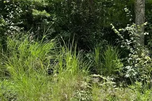 0 Pleasant Grove Church Rd, Hendersonville, NC 28792 - Photo 1
