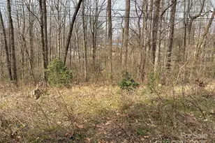 V/L 33rd Street NE, Conover, NC 28613 - Photo 1