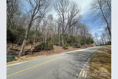 ? Connestee Trail, Brevard, NC 28712 - Photo 1