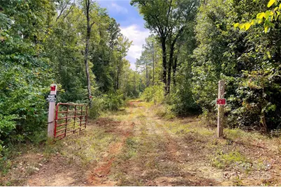 00 Todd Quarter Road, Waterloo, SC 29384 - Photo 1