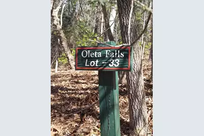 162 Bear Landing Drive, Hendersonville, NC 28792 - Photo 1