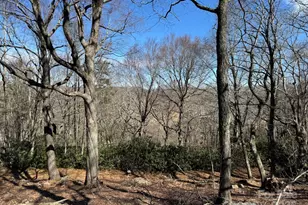 Lot 240 Thunder Wood Trail, Blowing Rock, NC 28605 - Photo 1