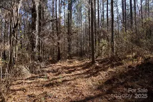 4+/- Ac Lot 1 Skyline Rd, Chester, SC 29706 - Photo 1