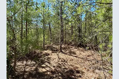 99 Oak Laurel Road, Brevard, NC 28712 - Photo 1