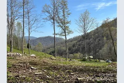 (Nw Lot) Tbd Silas Branch Road, Burnsville, NC 28714 - Photo 1