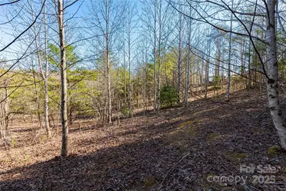 Lot 3 Summer Road, Hendersonville, NC 28792 - Photo 1