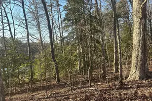 0 Dallas High Shoals Hwy, Dallas, NC 28034 - Photo 1