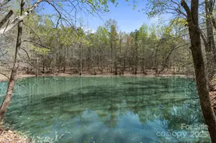 000 Adams Ln, Lancaster, SC 29720 - Photo 1