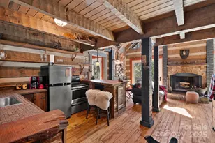 165 Pine Moss Trl, Hot Springs, NC 28743 - Photo 1