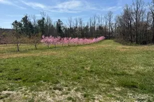 0 St Pauls Rd, Hendersonville, NC 28792 - Photo 1