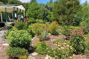 3719 Upper Shut in Rd, Hot Springs, NC 28743 - Photo 1