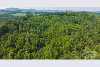 0 Old Vashti Road #2, Taylorsville, NC 28681 - Photo 1