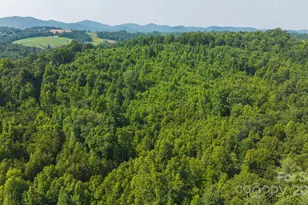 0 Old Vashti Rd, Taylorsville, NC 28681 - Photo 1