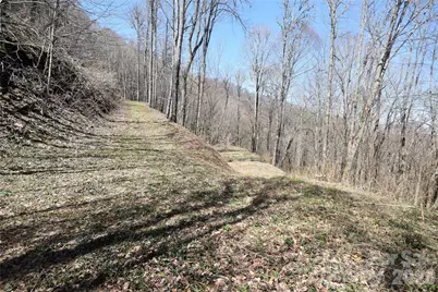 000 Big Laurel Road #A-16 & A-17, Waynesville, NC 28785 - Photo 1