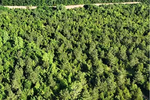 000 Daystar Rd, Lancaster, SC 29720 - Photo 1