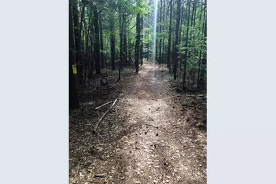 70 Acres Thickety Creek Road, Mount Gilead, NC 27306 - Photo 1