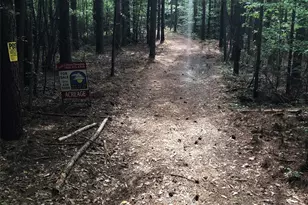 70 Acres Thickety Creek Rd, Mount Gilead, NC 27306 - Photo 1