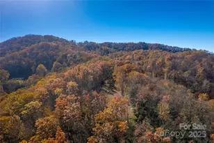 6 Copperhead Cove, Sylva, NC 28779 - Photo 1