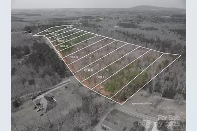 00 Forney Hill Road #12, Denver, NC 28037 - Photo 1