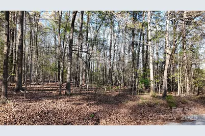 00 Richardson Creek Lane, Forest City, NC 28043 - Photo 1